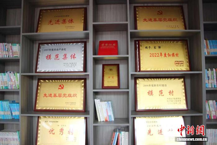 旺财28综合娱乐